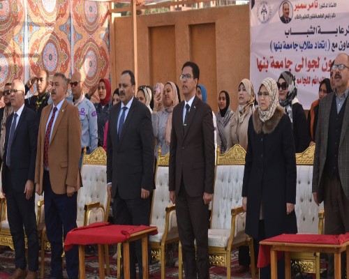 الجيزاوي يفتتح المهرجان الكشفي الثاني والعشرون لجوالى جامعة بنها