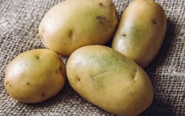 تخزين البطاطس