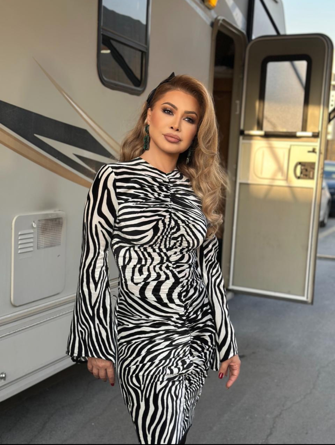 نوال الزغبي 