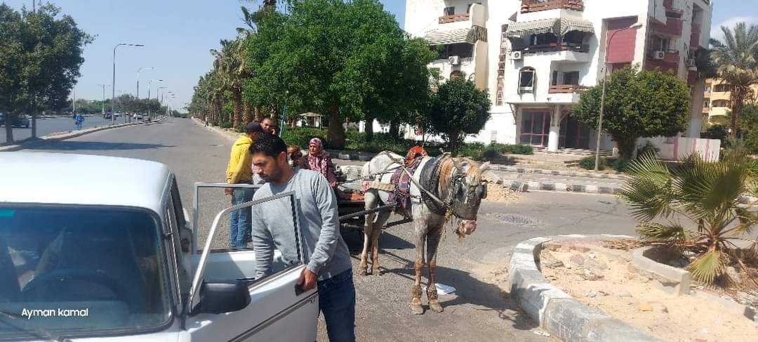 جهاز العبور يصادر 9تكاتك و 36تروسيكل فى حملة بمعاونة الشرطة