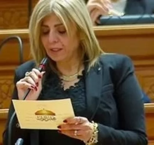 النائبة أميرة فؤاد رزق