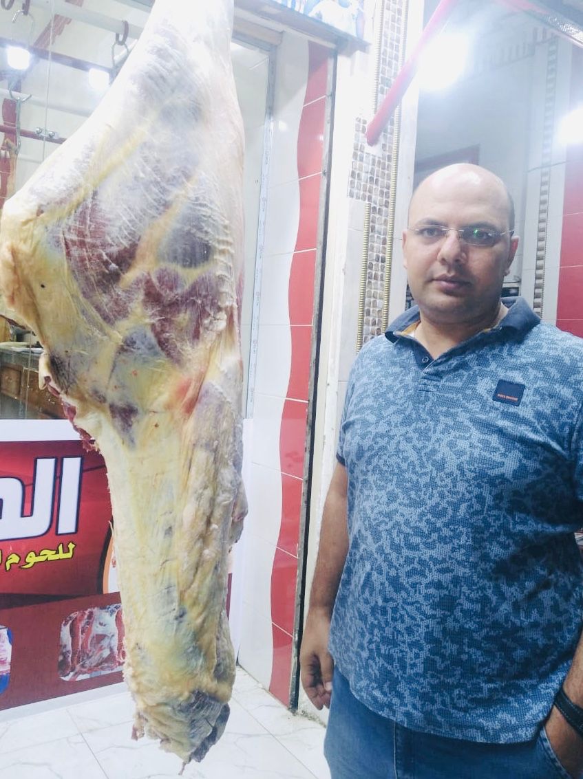 المضبوضات