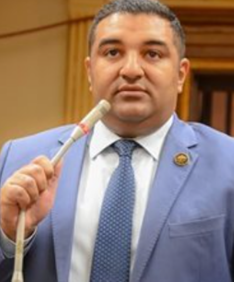 النائب محمود عصام عضو مجلس النواب