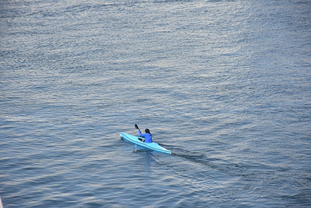 محافظ أسوان يشهد الفعاليات الختامية للبطولة الأفروعربية