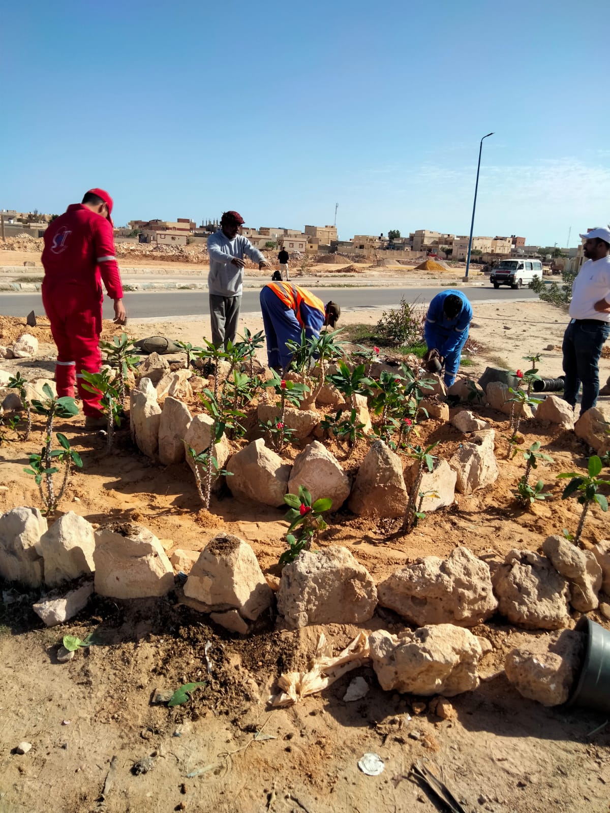 رئيس مدينة مطروح يتابع أعمال التشجير والتجميل بشوارع مرسي مطروح