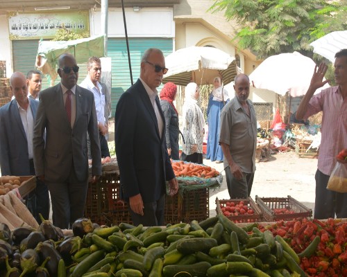 الهجان يتابع تطبيق مُبادرة خفض السلع الأساسية بكفر شكر وطوخ