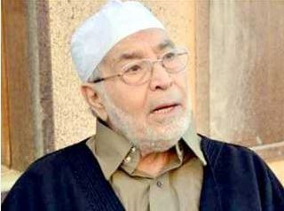 الفنان حسن يوسف 