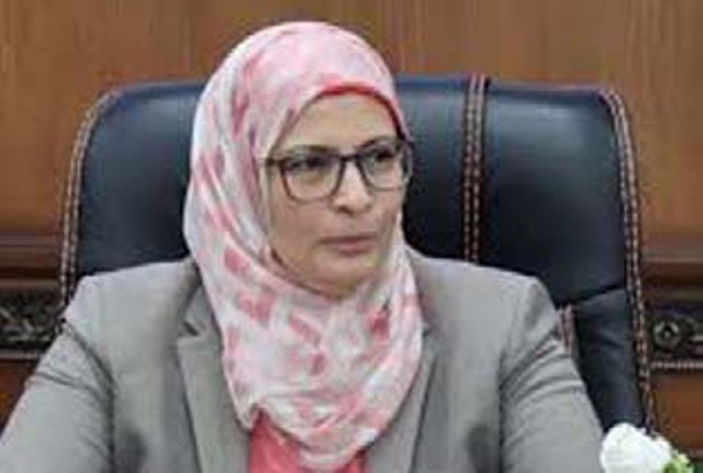 الدكتورة ناهد يوسف رئيس الهيئة العامة للتنمية الصناعية