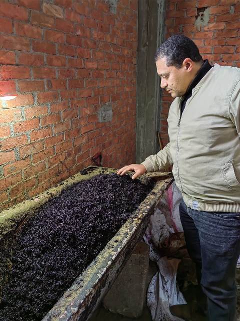ضبط مصنع معسل بدون ترخيص.. بالفيوم 