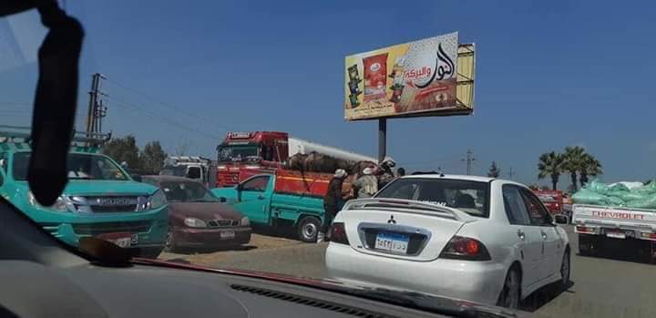 سوق المواشى يهدد حياة المواطنين بطريق بلقاس .جمصة 