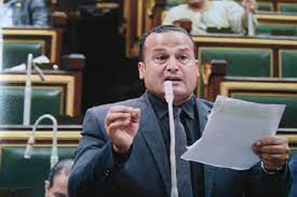 النائب محمد عمارة 