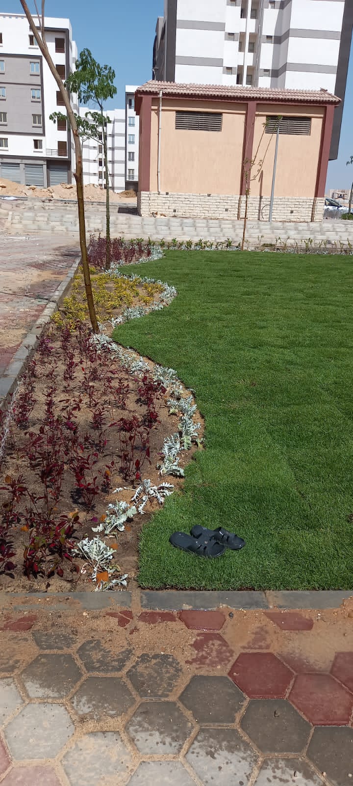 تعرف على تفاصيل أحدث مشروعات الزراعة فى مدينة العبور الجديدة..بالصور