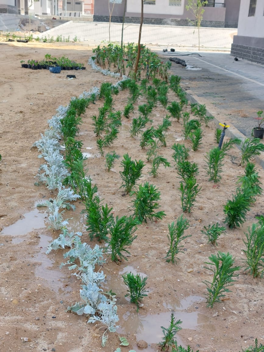 تعرف على تفاصيل أحدث مشروعات الزراعة فى مدينة العبور الجديدة..بالصور