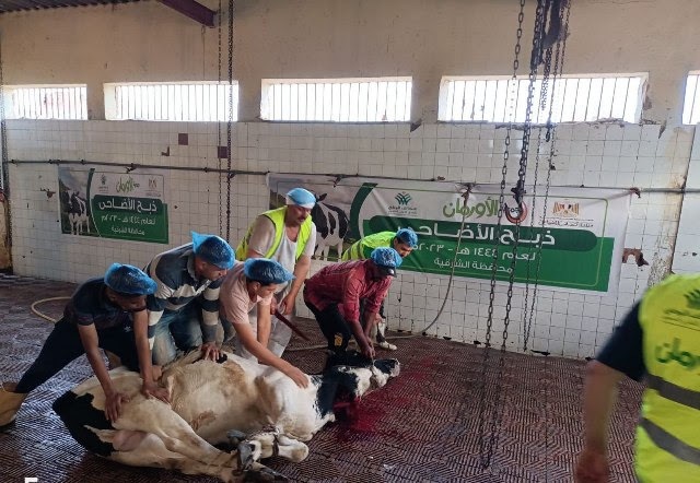 ذبح 30 رأس ماشية وتوزيعها على الأسر المستحقة بقرى الشرقية
