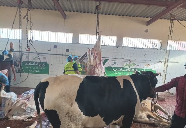 ذبح 30 رأس ماشية وتوزيعها على الأسر المستحقة بقرى الشرقية