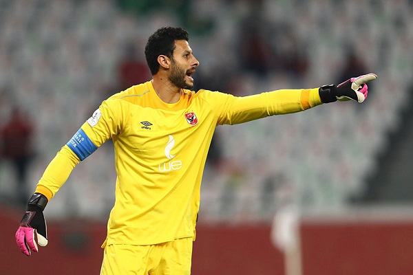 محمد الشناوى