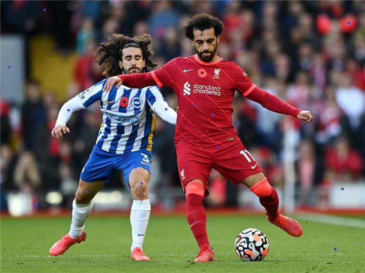  ليفربول و برايتون     
