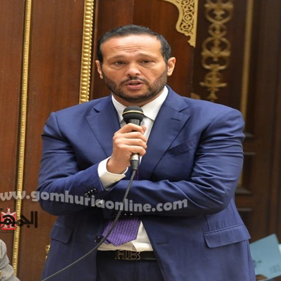 محمد حلاوة رئيس لجنة الصناعة والتجارة بمجلس الشيوخ