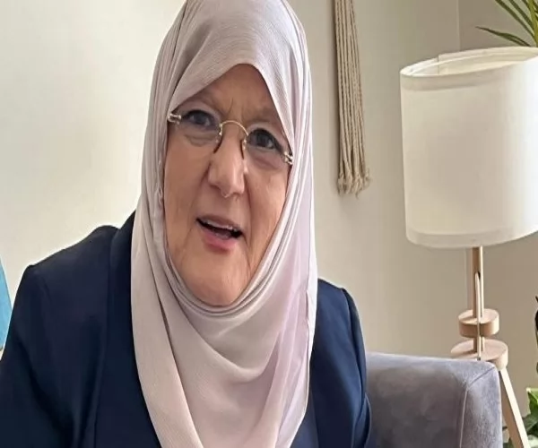 شمس البارودى 