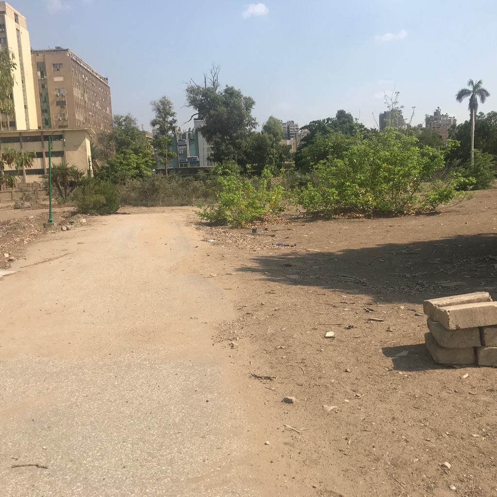  الزراعة ترد على شائعة قطع أشجار من المتحف الزراعي 