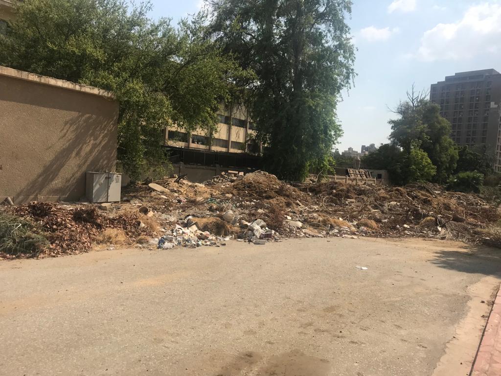  الزراعة ترد على شائعة قطع أشجار من المتحف الزراعي 