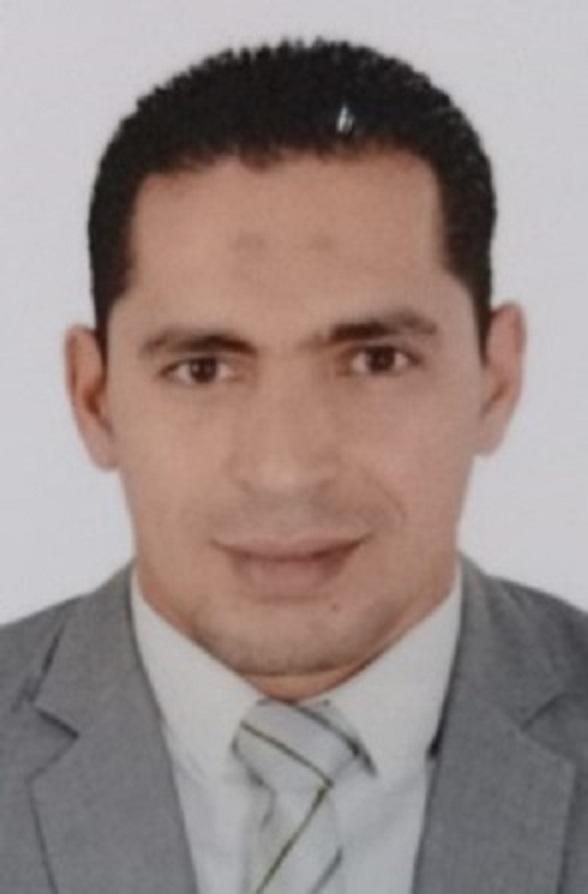   محمد حامد خضر عامر
