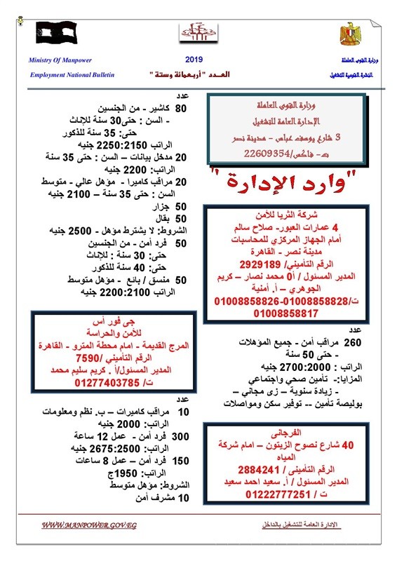 القوى العاملة تعلن عن 12 ألف وظيفة براتب يصل إلى 7000 جنيه