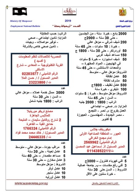 القوى العاملة تعلن عن 12 ألف وظيفة براتب يصل إلى 7000 جنيه