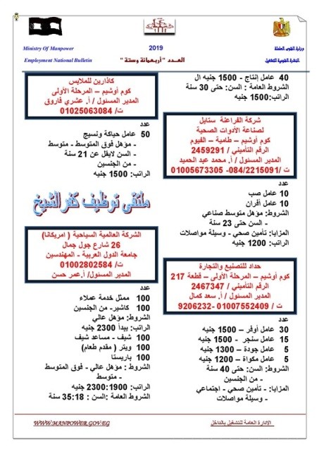 القوى العاملة تعلن عن 12 ألف وظيفة براتب يصل إلى 7000 جنيه