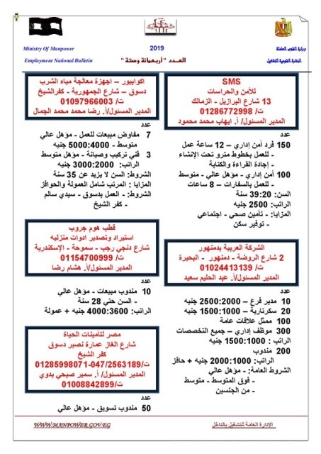 القوى العاملة تعلن عن 12 ألف وظيفة براتب يصل إلى 7000 جنيه