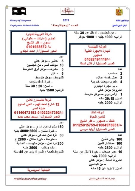 القوى العاملة تعلن عن 12 ألف وظيفة براتب يصل إلى 7000 جنيه