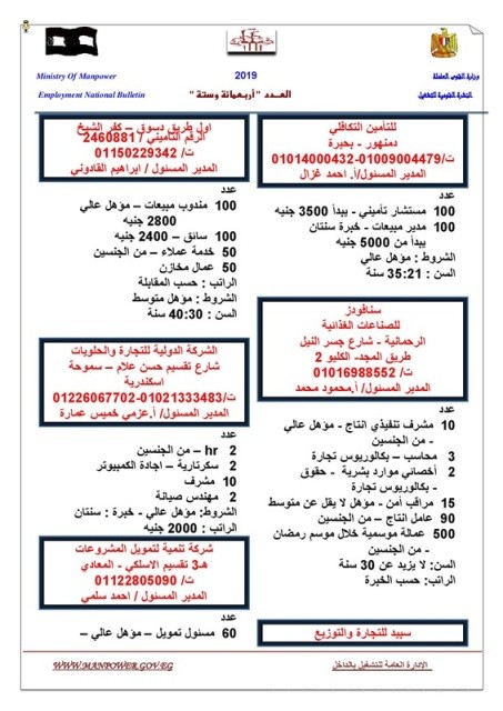 القوى العاملة تعلن عن 12 ألف وظيفة براتب يصل إلى 7000 جنيه