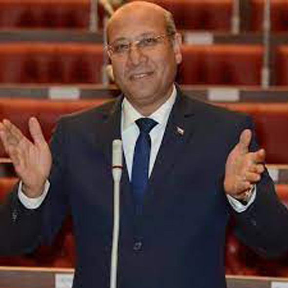 النائب عمرو عكاشة عضو مجلس النواب
