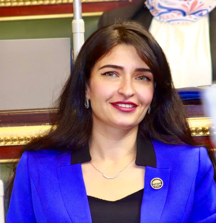 النائبة إيرين سعيد عضو لجنة الصحة بمجلس النواب