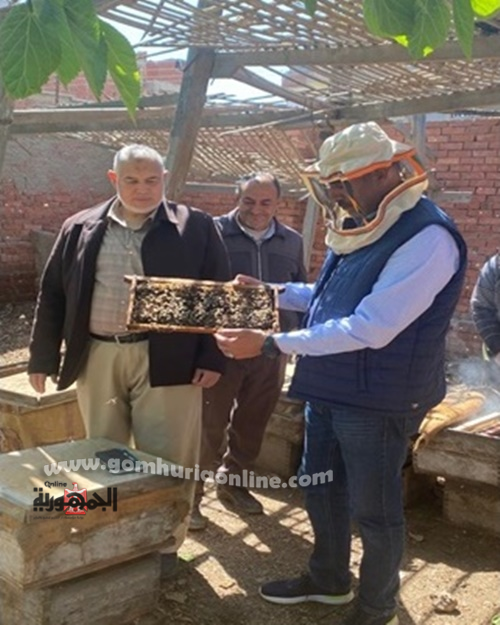 وكيل وزارة التعليم بالمنوفية .. 