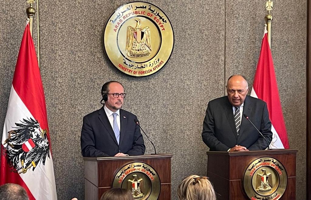 وزير الخارجية: لدينا قدر من احتياطي القمح.. وارتفاع الأسعار يمثل عبئًا على ميزانية الدولة.. صور 