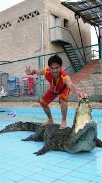 عروض المزمار البلدى أبهرت السياح ومطار شرم الشيخ يستقبل 10رحلات.. بالصور