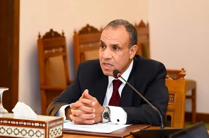 الدكتور بدر عبدالعاطي وزير الخارجية