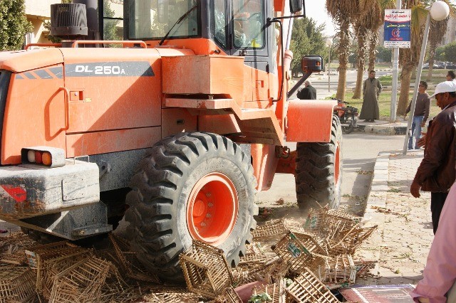 جهاز  العبور يشن حملة إشغالات ومخالفات حفاظا علي المظهر الحضارى .. صور 