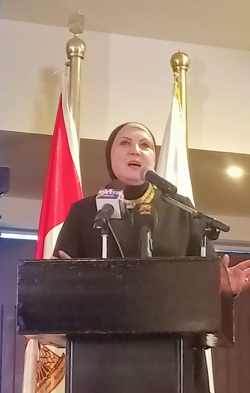 نيفين جامع : لو حجم أعمالك 250 ألف جنيه قدم إقرارك الضريبيى وعفا الله عما سلف