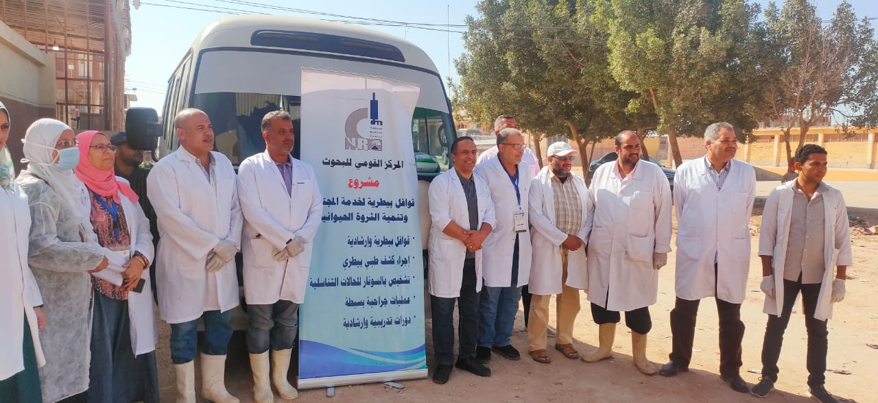 قافلة المعهد القومي للبحوث توقع الكشف وعلاج 8500 ماشية وطيور بمطروح