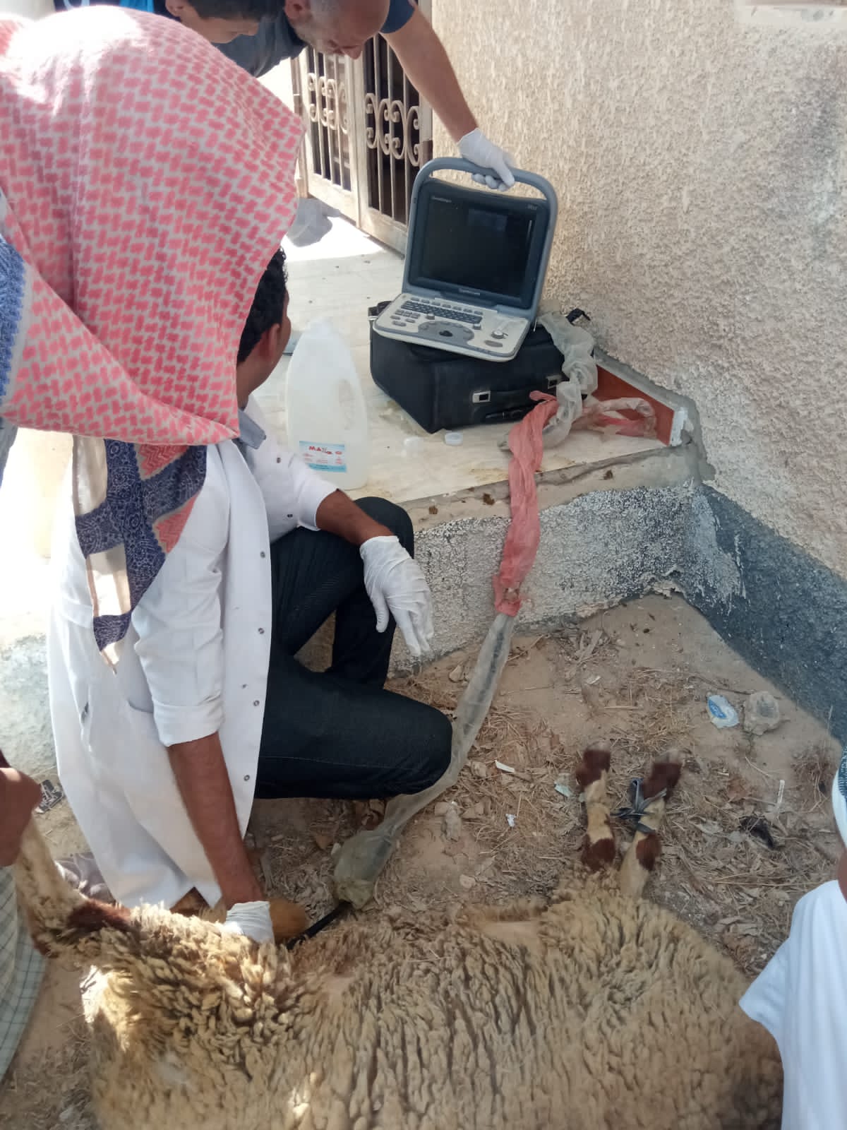 قافلة المعهد القومي للبحوث توقع الكشف وعلاج 8500 ماشية وطيور بمطروح