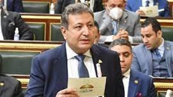 النائب طارق شكري