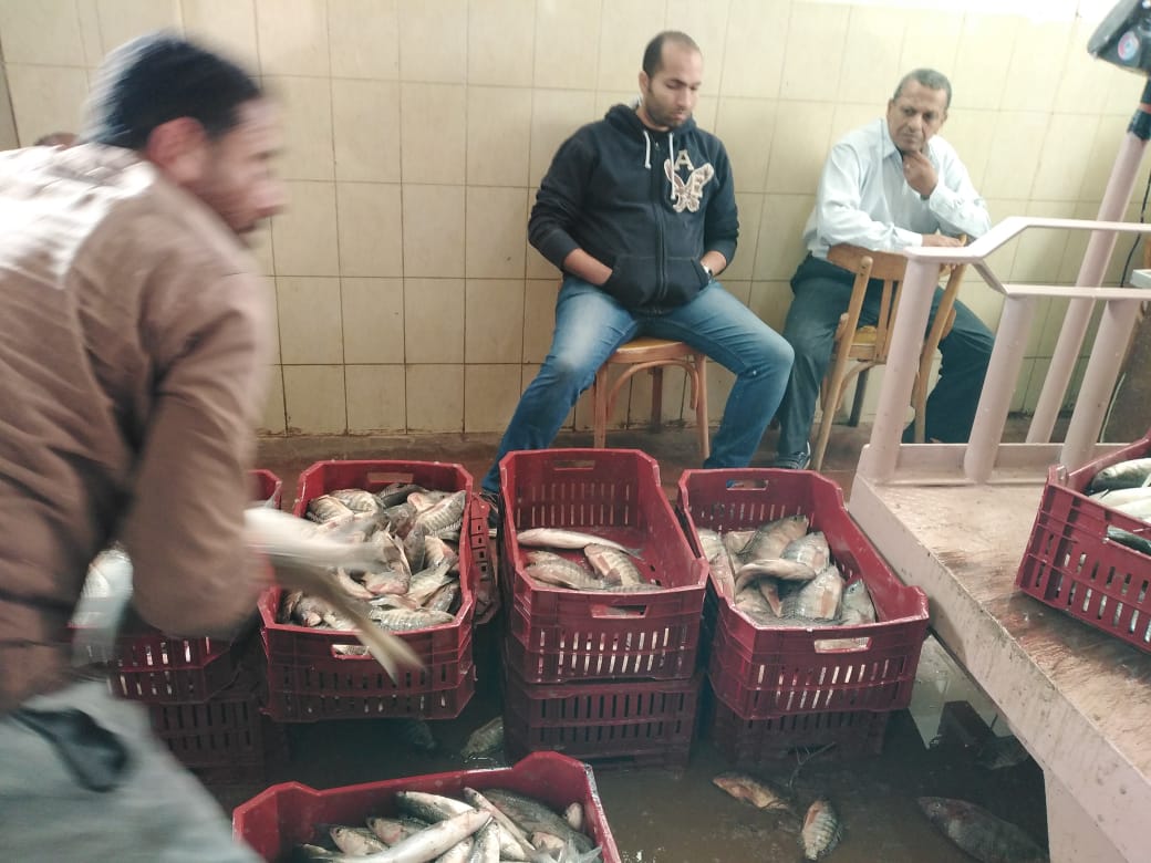 الزراعة تعلن افتتاح موسم الصيد بمزرعة برسيق