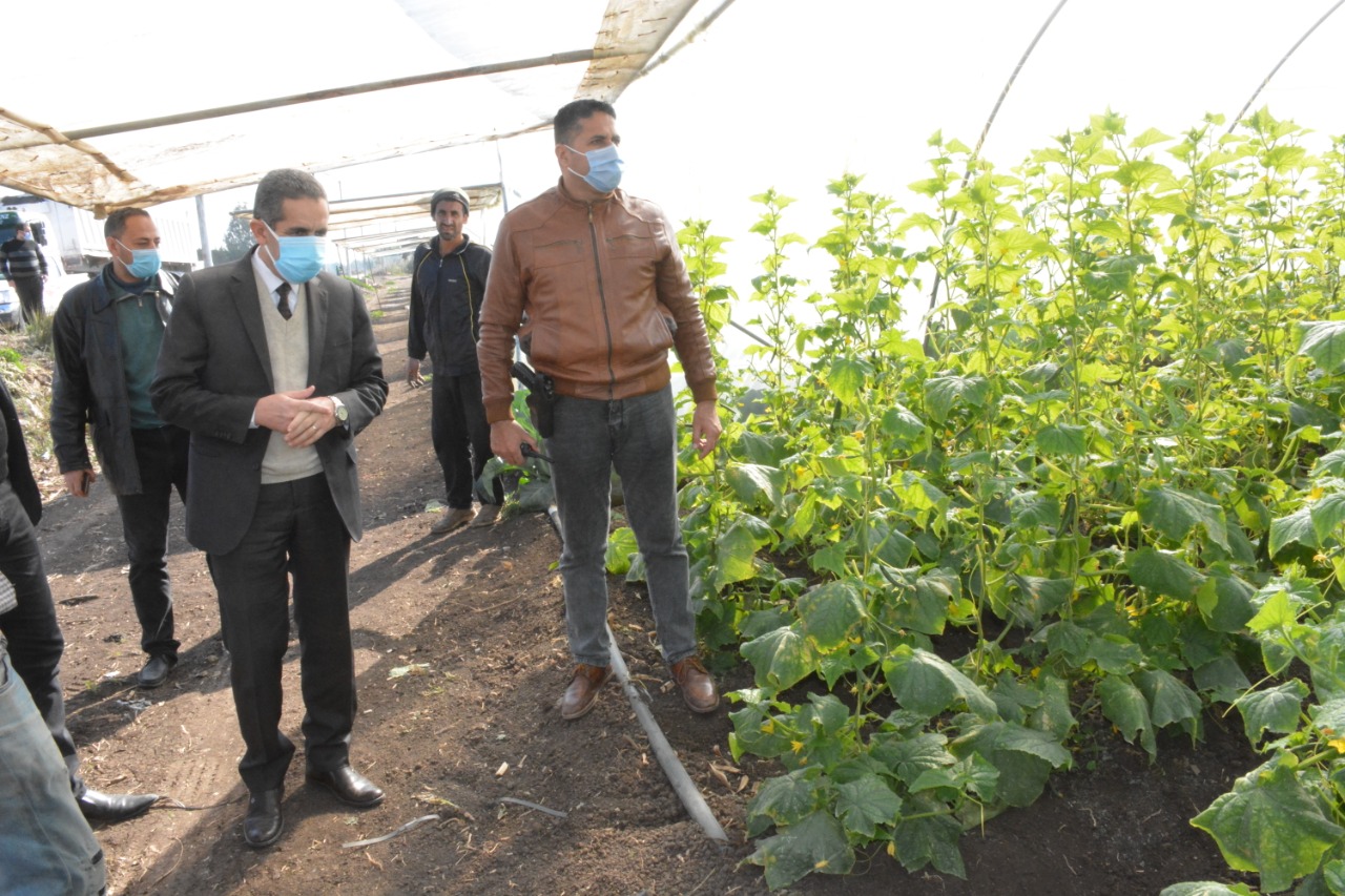 محافظ الغربية في جولة لمتابعة مشروعات الرصف ببسيون وكفر الزيات-صور