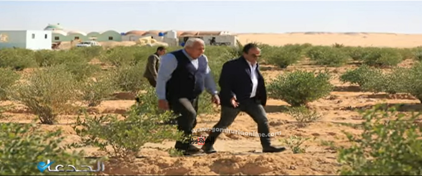 محافظ الوادى الجديد يستعرض لبرنامج الجدعان زراعات الجوجوبا