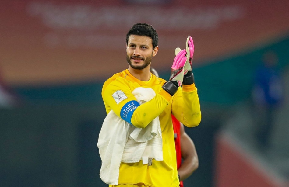 محمد الشناوي 