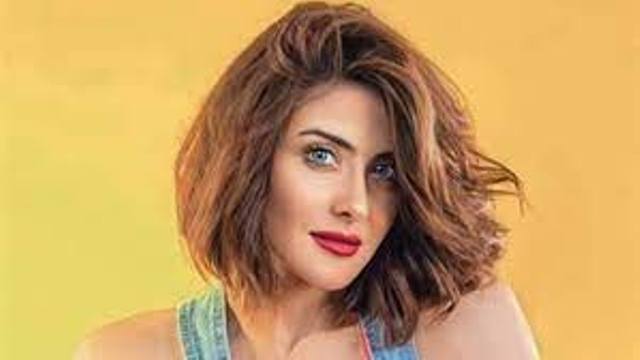 هيدي كرم