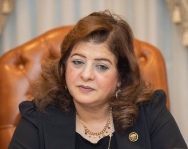 النائبة هناء أنيس
