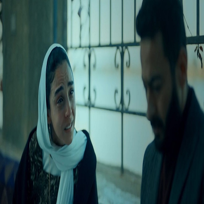 سلمى أبو ضيف وحمادة هلال 